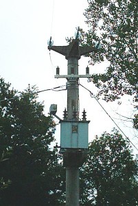 traliccio 2