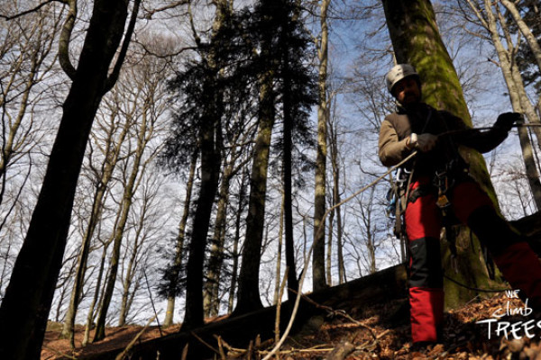 prelievo marze nel bosco di "La Verna" (AR)