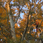 discesa tramonto