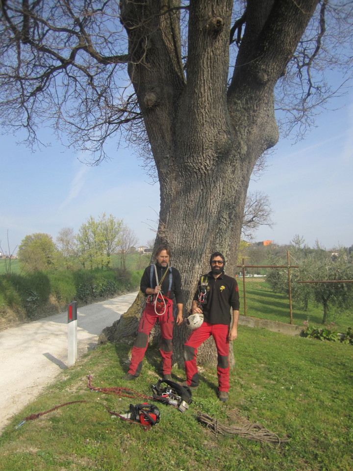 QUERCE tra Jesi, Castelfidardo, Filottrano, Pesaro…